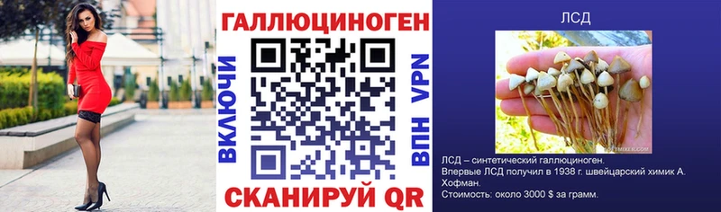Псилоцибиновые грибы Magic Shrooms  Купить  Ельня 