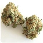 Шишки "White Widow"  (Белая вдова)  Гидропоника -  Бошка VHQ в Ельне
