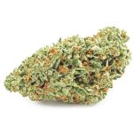 Шишки OG Kush  (Гидропоника, бошки) VHQ в Ельне